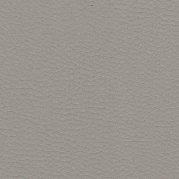 Denali Décor Swatch