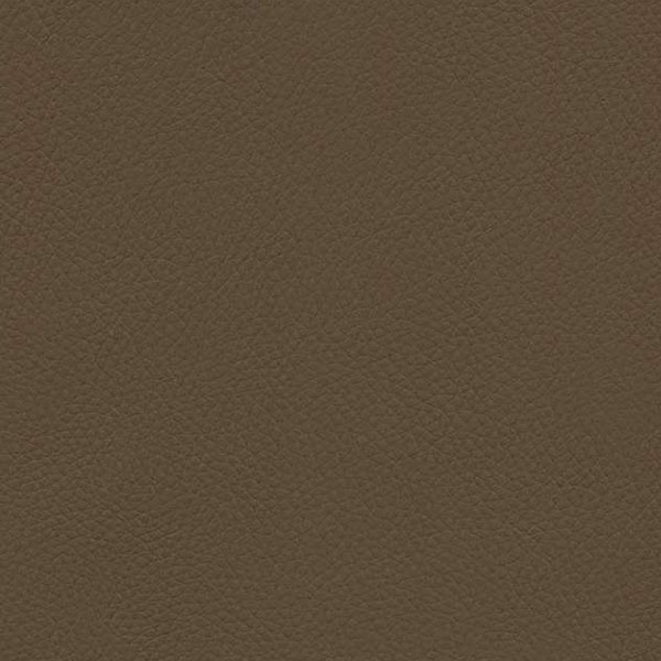 Rainier Décor Swatch