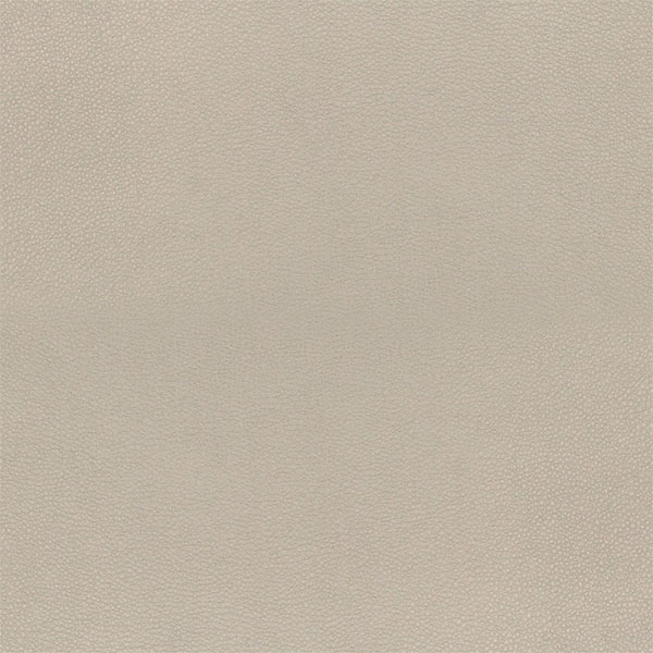 Ridgeline Décor Swatch