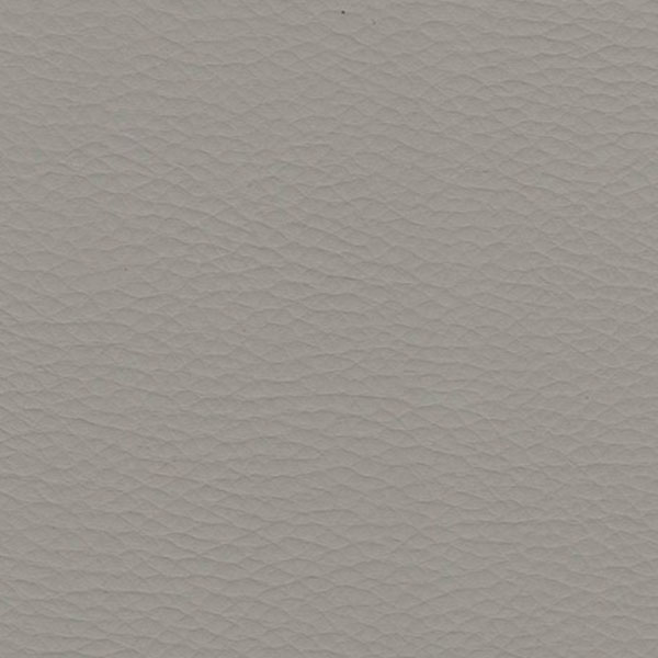Denali Décor Swatch