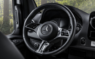 Safe T Plus Steering Control