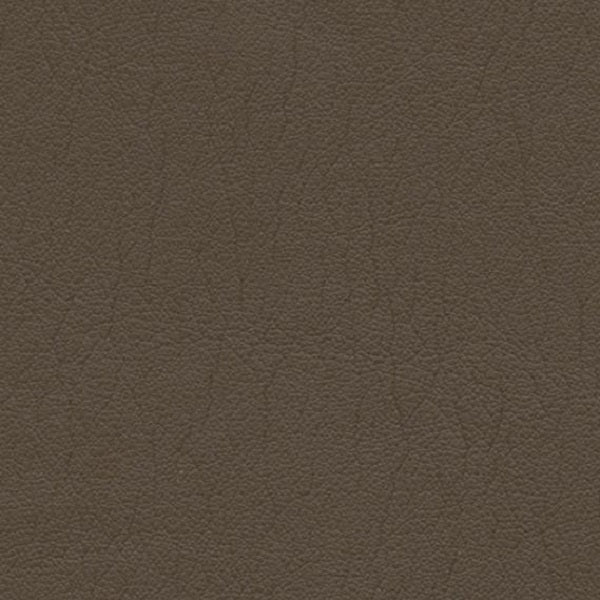 Dune Swatch