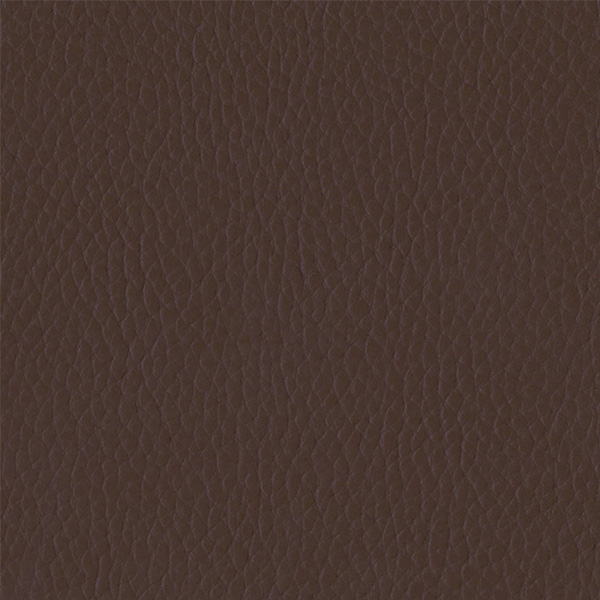 Sequoia Décor Swatch